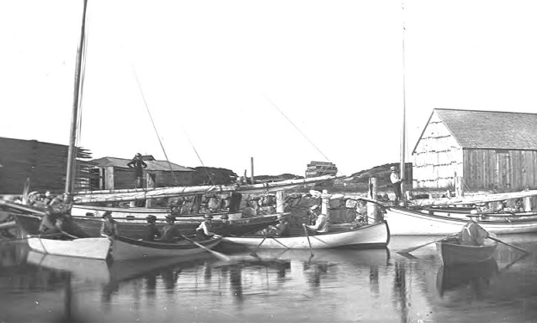 Sesuit Harbor